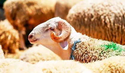 Eskişehir’de Kurban Bayramı Namaz Saati Açıklandı