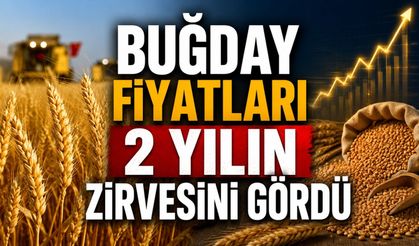 Buğday fiyatları 2 yılın zirvesini gördü