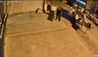 At arabalı hırsızlar aynı gün içinde yakalandı