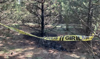 Eskişehir’de Kayıp Kadın Ormanlık Alanda Yanmış Halde Bulundu: 1 Kişi Tutuklandı