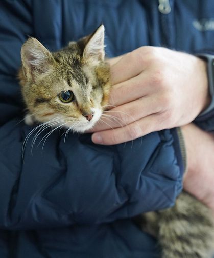 Tepebaşı Doğal Yaşam Merkezi Can Dostlara Umut Oldu