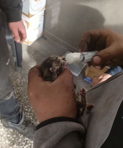 Eskişehir’de Yürek Isıtan Kurtarma