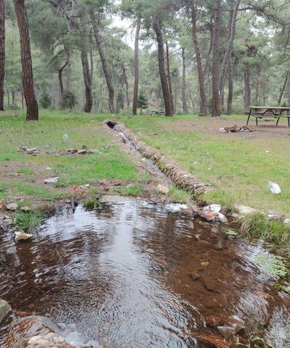 Doğanın İçinde Şifa Kaynağı