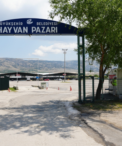 Hayvan Pazarında Yer Satışları Başladı