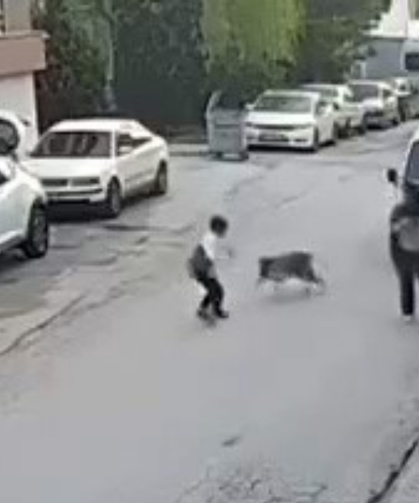 Çocuğun Panik Anları Güvenlik Kamerasında