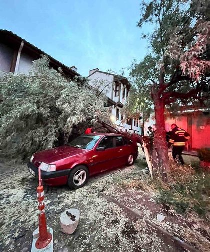 Eskişehir'de Otomobilin Üzerine Ağaç Dalı Düştü