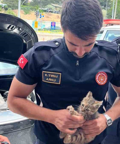 İtfaiyeden kedi kurtarma