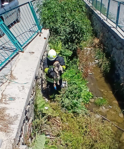 İtfaiye Yavru Köpeği Ölümden Kurtardı