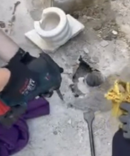 Gider Borusuna Düşen Yavru Kedi Kurtarıldı