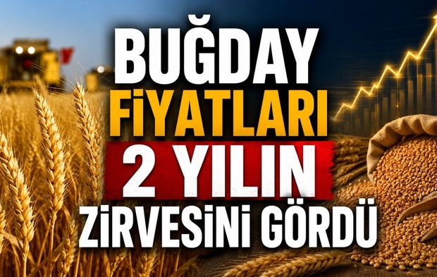 Buğday fiyatları 2 yılın zirvesini gördü