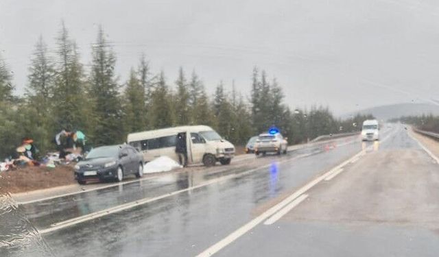 Taşlık Mevkiinde Trafik Kazası: Minibüs Yoldan Çıktı