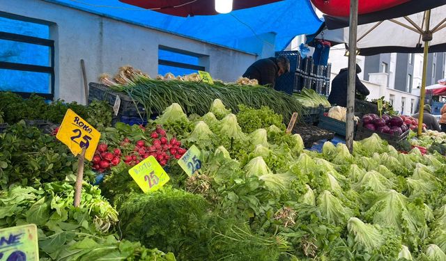 Eskişehir’de Dondurucu Soğuklar Pazar Fiyatlarını Katladı
