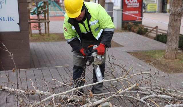 Hamamyolu’nda estetik ve güvenlik için budama