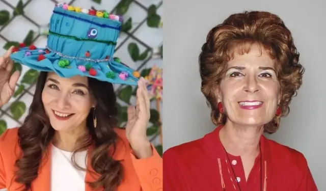 Neşe Erberk Annesi Gülşen Erberk Kimdir, Ölüm Sebebi Nedir, Neden Ölüm Sebebi Nedir?