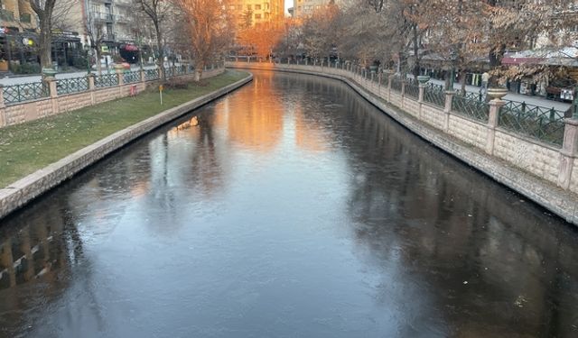 Porsuk’ta Can Pazarı: Ekipler Seferber Oldu