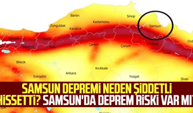 Samsun'un Vezirköprü ilçesinde 00.20'de 4.0 büyüklüğünde deprem meydana geldi.