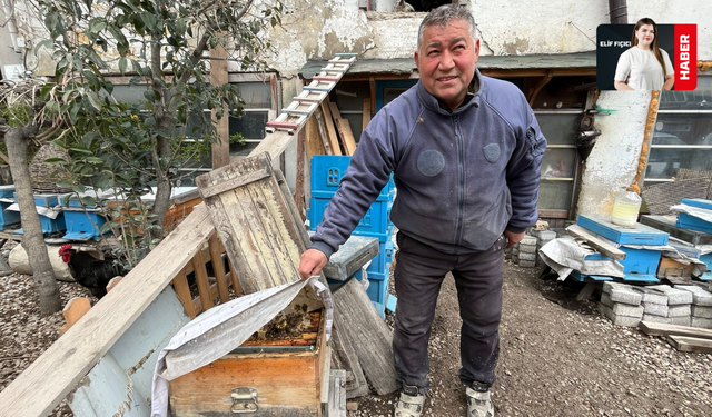 Ahşap Kovanda Devrim: Arıya Hizmet Eden Usta