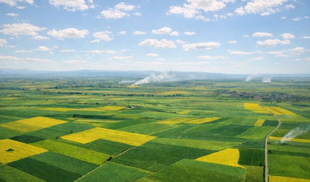 Alpu Ovası’nda Termik Santral Projesine Mahkemeden İptal Kararı