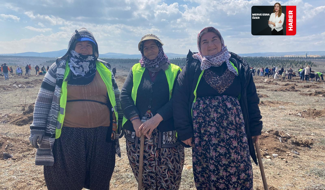 Fidanlar Toprakla Buluştu, Doğaya Umut OIdu