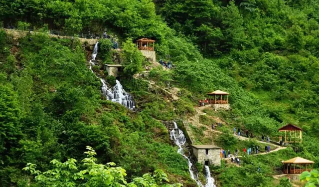 Zaruratı Hamse Ne Demek?