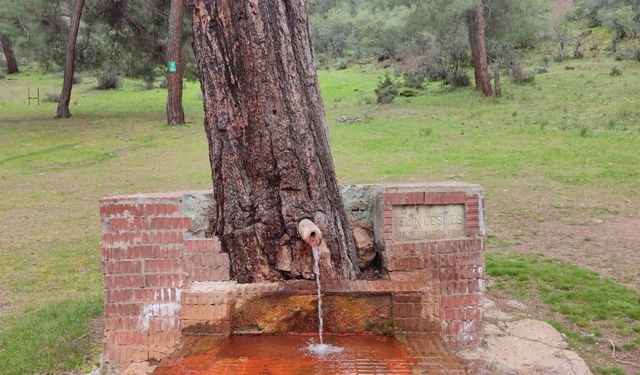 Eskişehir’de Doğal Maden Suyu Çeşmesine Yoğun İlgi