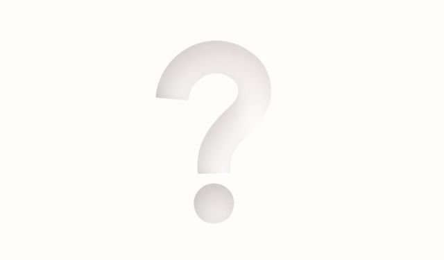 By The Way Ne Demek?