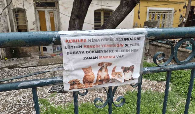 Eskişehir'de Hayvanseverlerin O Yazısı Dikkat Çekti