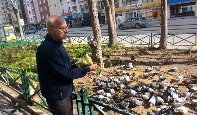 Eskişehirli Esnaftan Güvercinlere Şefkat Eli