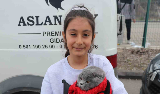 Minik Taraftar Kedisiyle Tribünde