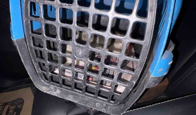 “Araçta 3 Kedi Var” Notu Hayat Kurtardı
