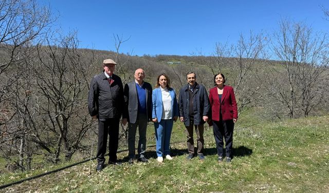 CHP’li Süllü’den Maden Projesine “Doğa Suçu” Eleştirisi