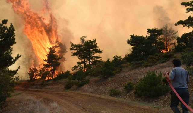 Eskişehir ve Afyon’da Orman Girişleri Yasaklandı
