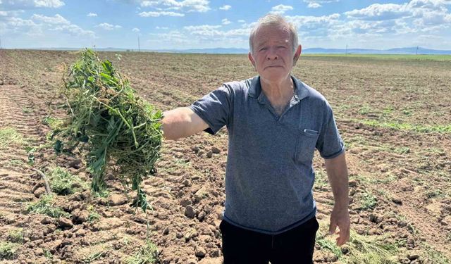 Eskişehir'de 3 bin 500 Dönümlük Arazi Krizi Gerginlik Yarattı