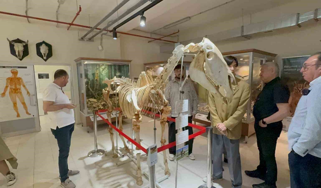 ESOGÜ Zooloji Müzesi Yeni Yerinde Kapılarını Açtı
