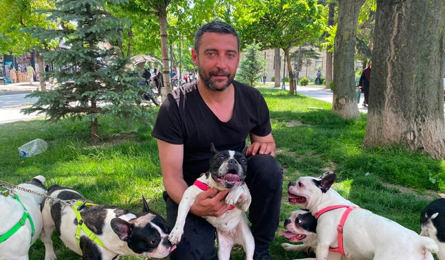"Köpeklerim Ayrılmasın" Dedi: Çağrısı Karşılık Buldu