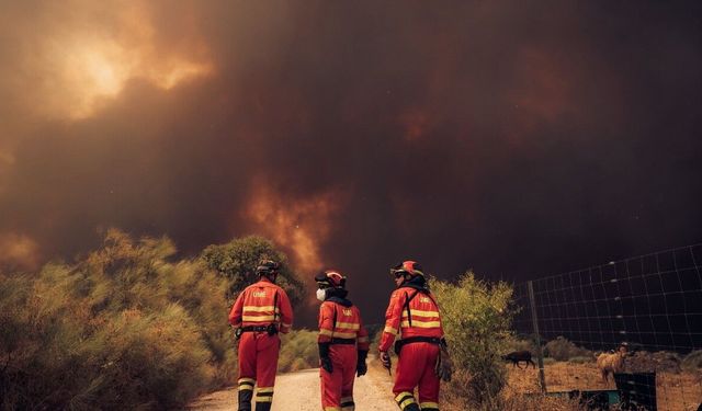 Avrupa'da Orman Yangınları Büyüyor: 330 Bin Tahliye