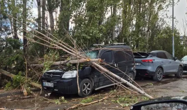 Üzerine Ağaç Dalı Düşen Araç Kullanılamaz Hale Geldi