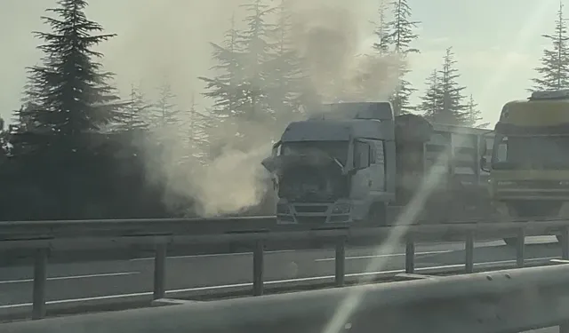 Eskişehir-Bursa yolunda seyir halindeki tır alev aldı