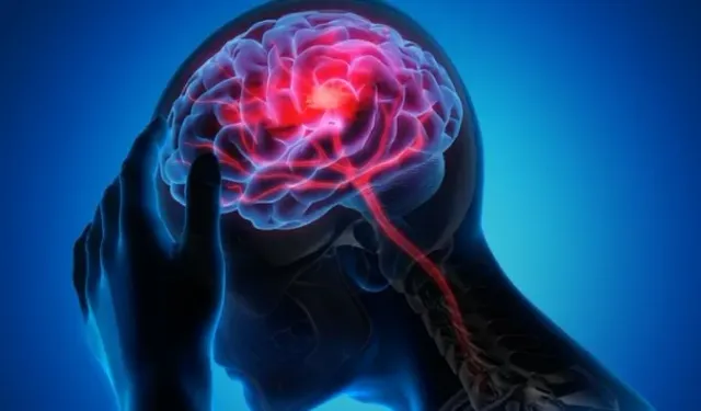 Beyin Sisi Hafızanızı ve Enerjinizi Nasıl Etkiliyor?
