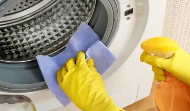 Çamaşır Makinesi Lastiğindeki Kirleri Temizlemenin 3 Yolu