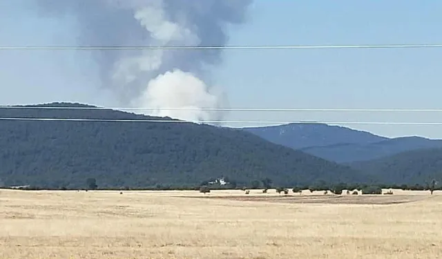 Eskişehir Seyitgazi’de Orman Yangını