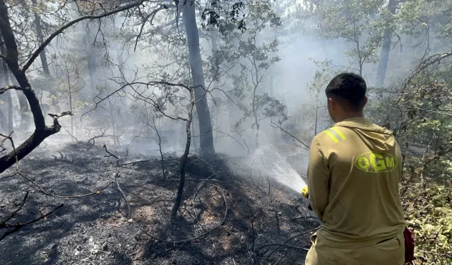 Eskişehir'de Bazı Bölgelerde Alevler Yeniden Yükseldi