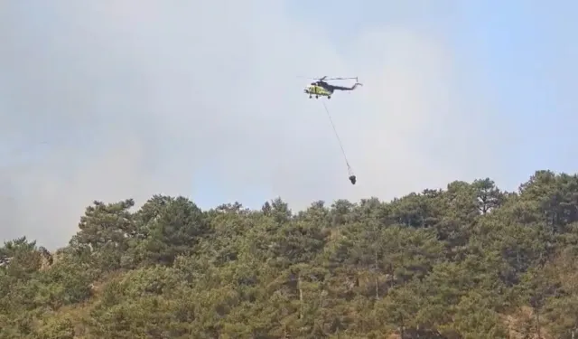 Seyitgazi’de Orman Yangınına Havadan ve Karadan Müdahale Sürüyor