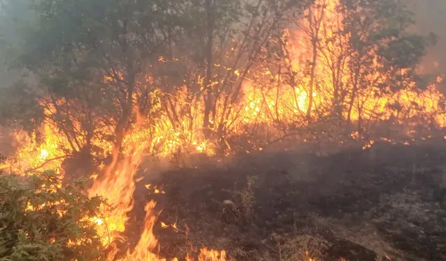 10 Orman Kahramanı Yangında Şehit Oldu: Cenazeler Kırka’ya Getiriliyor