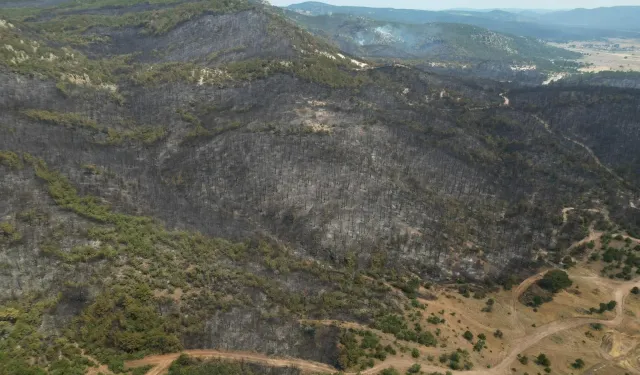 Eskişehir’de Yangın Bölgesinde Savcılık İncelemesi Başlatıldı