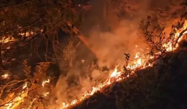 Eskişehir’de Orman Yangınına Gece Müdahale Devam Etti
