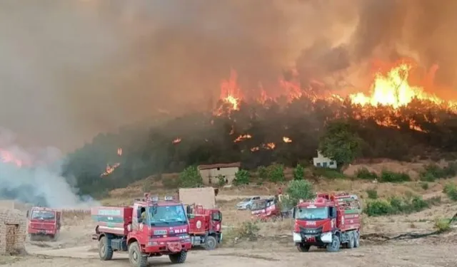 Seyitgazi Yangın Bölgesi Sıkı Takipte
