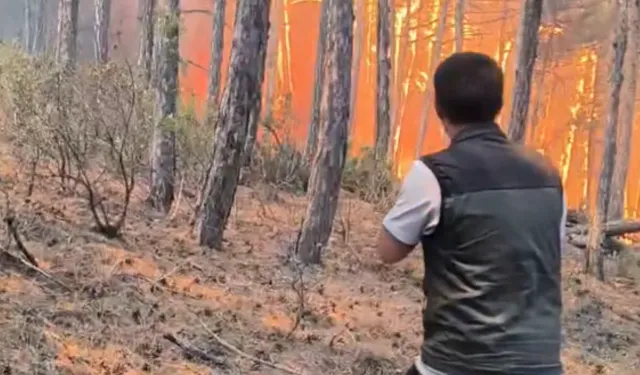 Alevlerin ortasında kaldılar: O anların görüntüleri ortaya çıktı