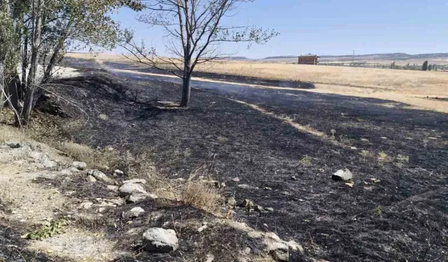 Yangına İlk Müdahale Vatandaştan Geldi
