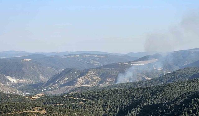 Bilecik Bekdemir Köyü’nde Çıkan Orman Yangını Kontrol Altına Alındı